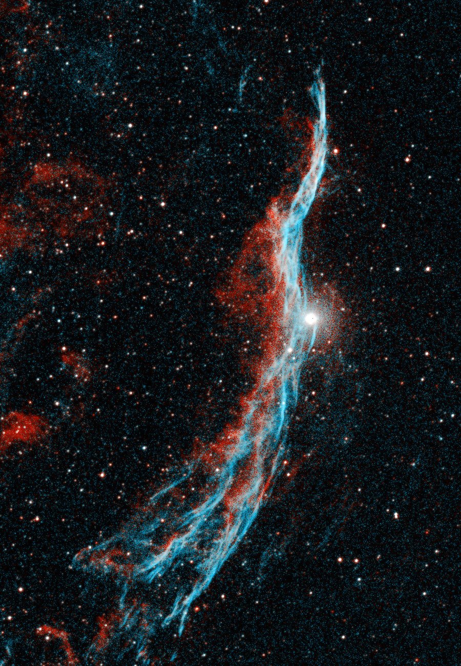 Witch's Broom Western Veil